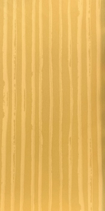 کاغذ دیواری قابل شستشو عرض 50 متفرقه آلبوم مای ادونچرز کد 066145-F